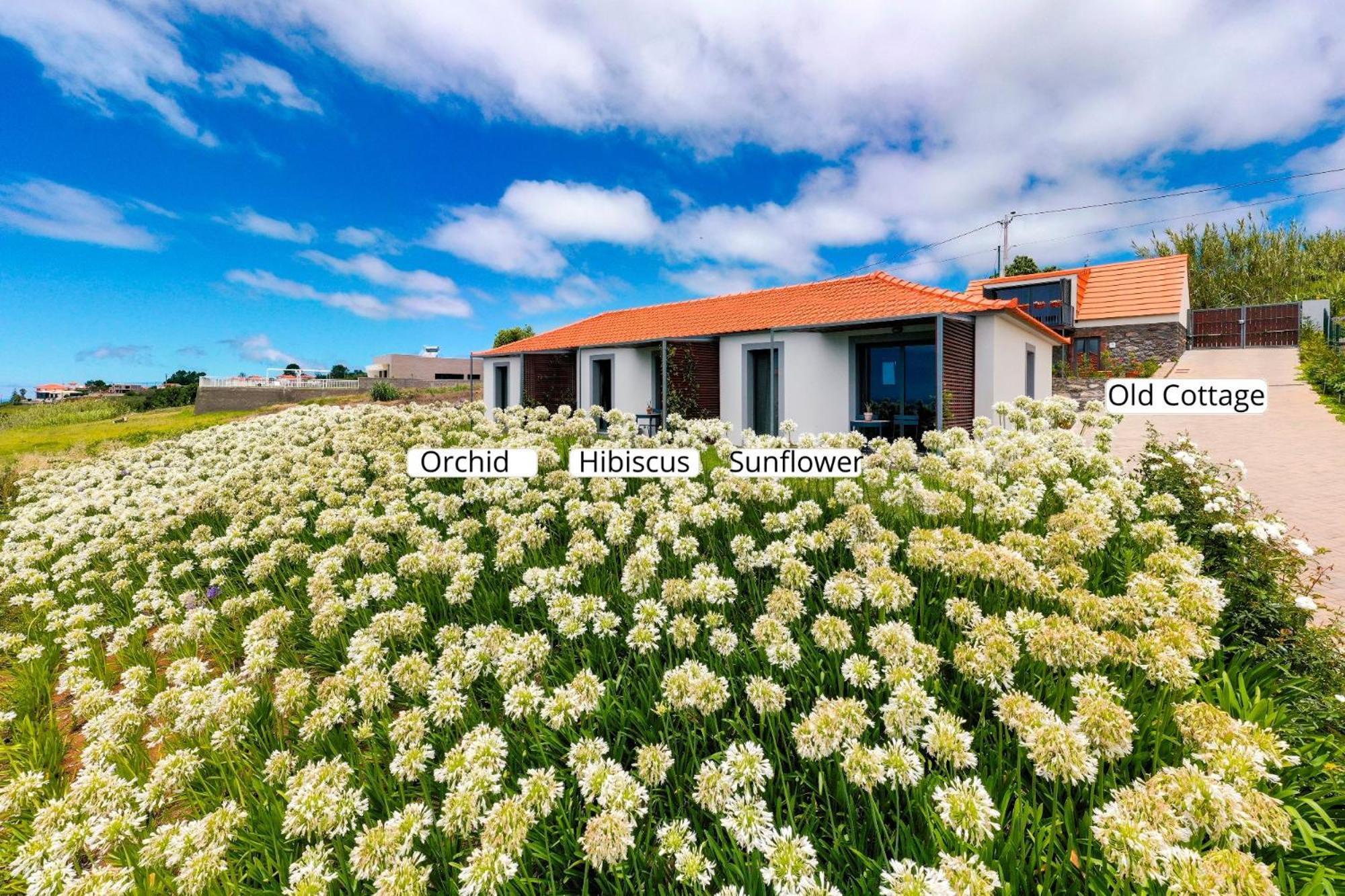 Ourmadeira - Quinta Inacia, Countryside Escape Apartment Calheta  Exterior photo